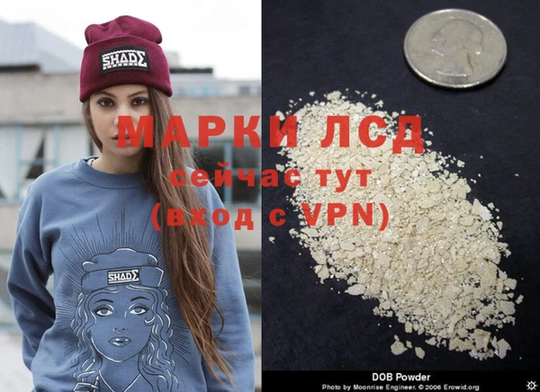 ECSTASY Балахна